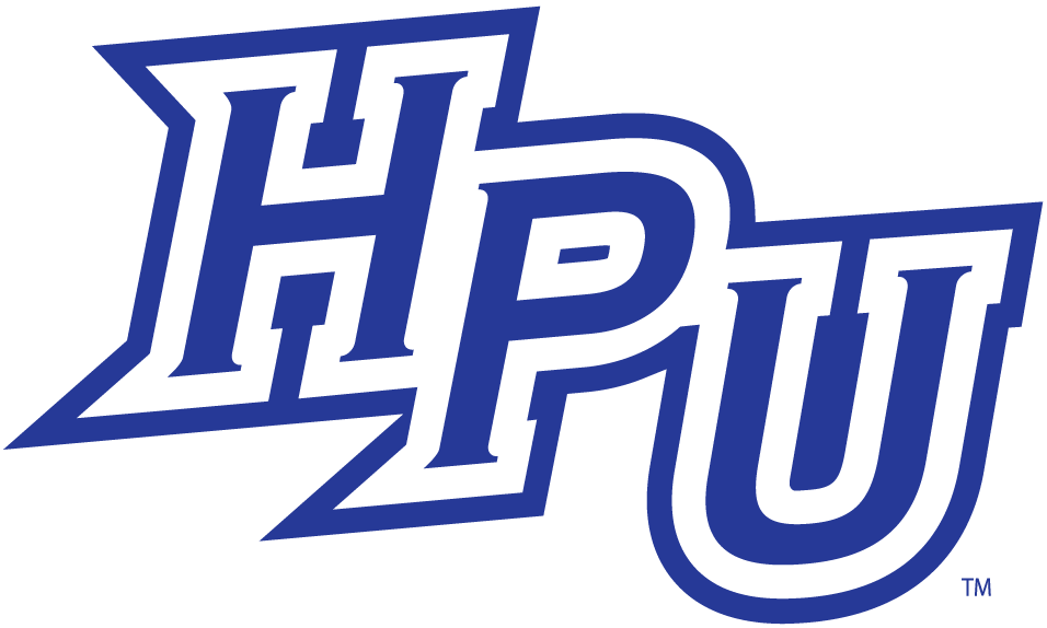 High Point Panthers 2004-2011 Alternate Logo v5 DIY iron on transfer (heat transfer)
